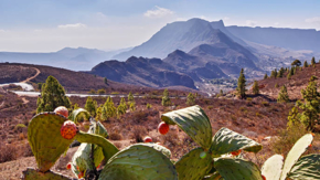 Gran Canaria